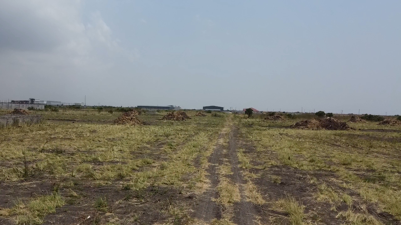 Land, Miotso